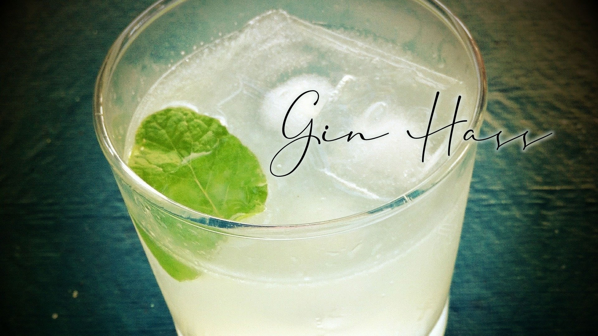 Gin Hass Roadhouse.dk